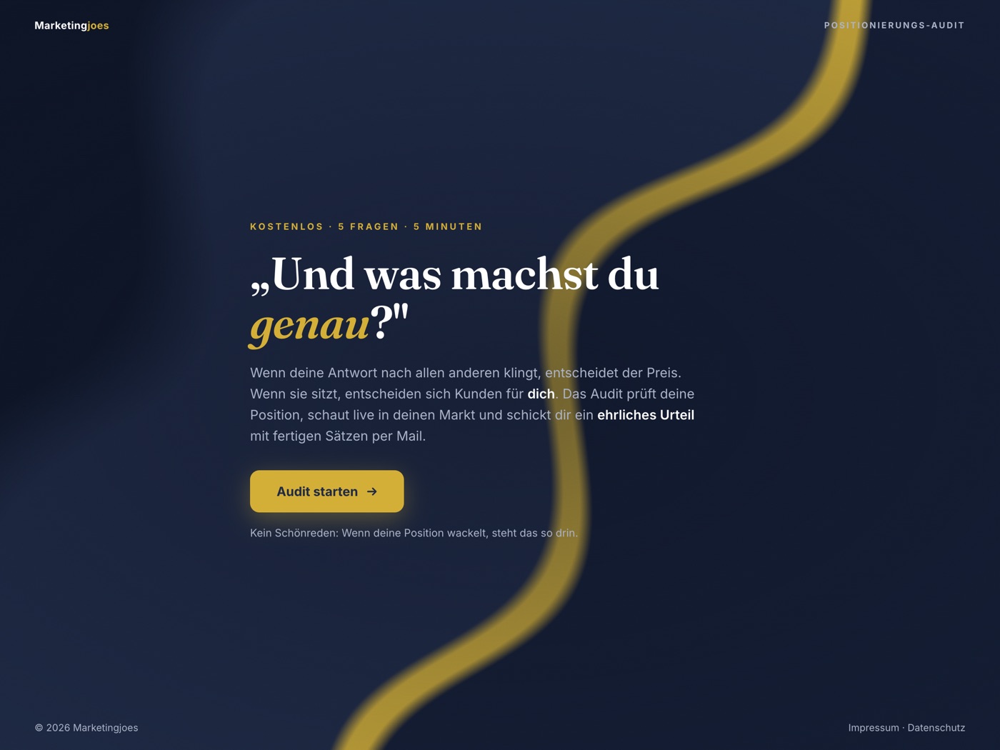 Startseite des Positionierungs-Audits